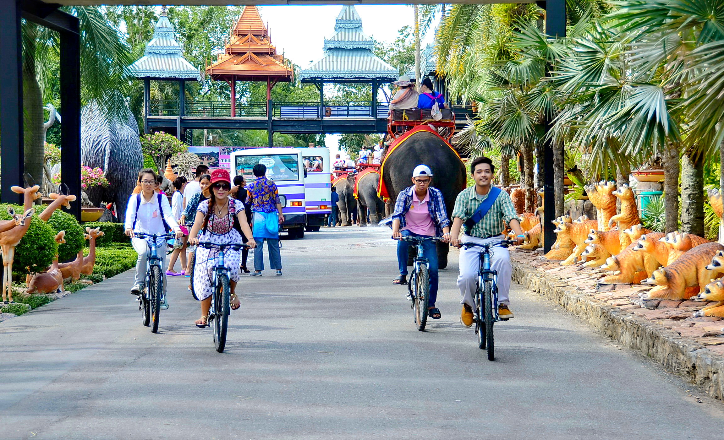 BICYCLES