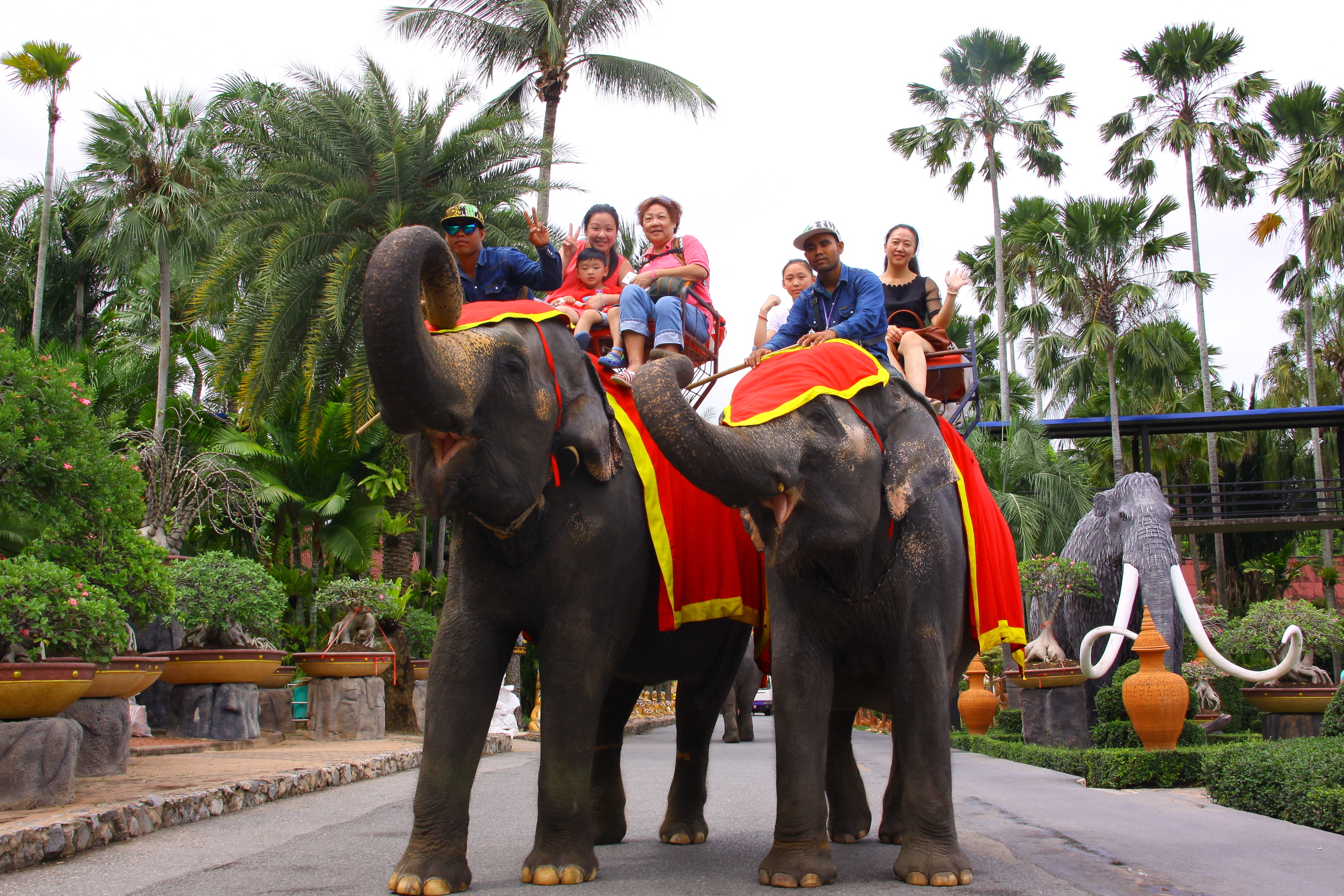 ELEPHANT RIDING