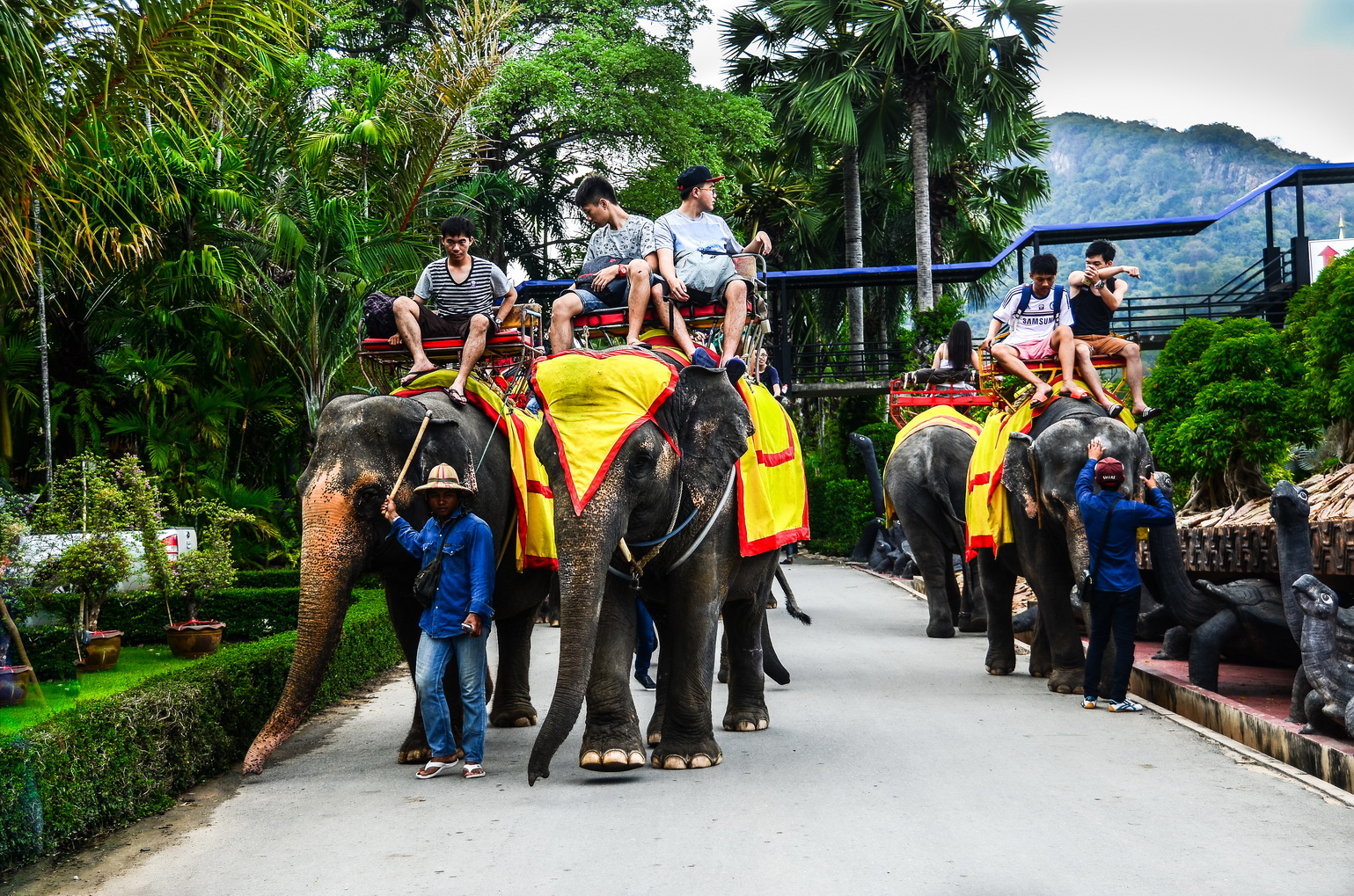 ELEPHANT RIDING