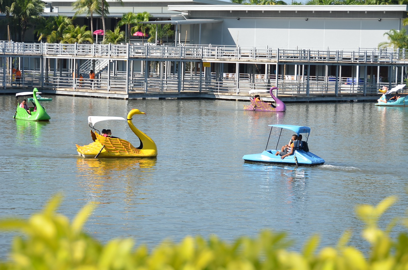 PADDLE BOATS