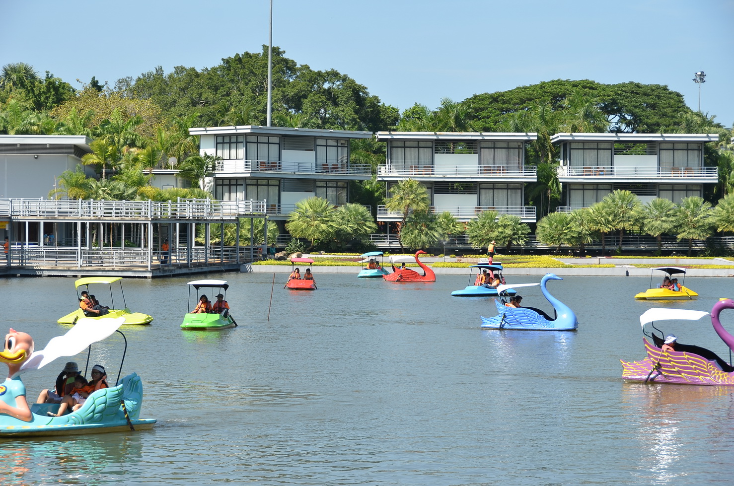 PADDLE BOATS