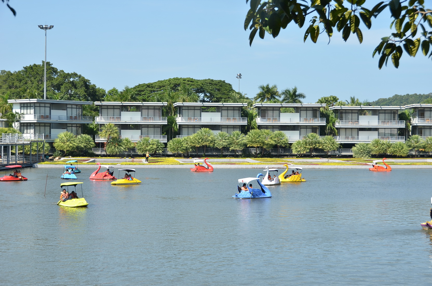 PADDLE BOATS