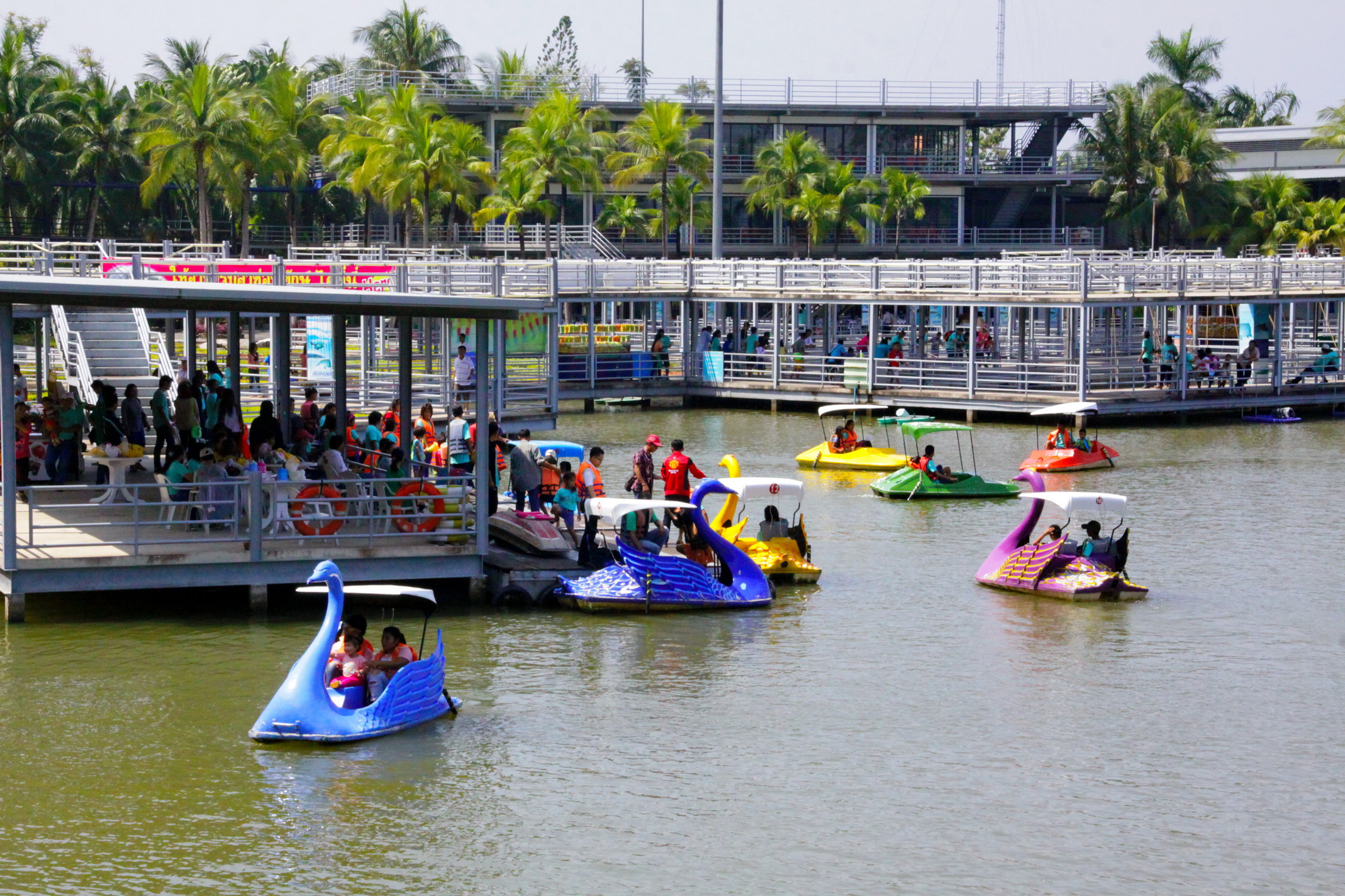 PADDLE BOATS