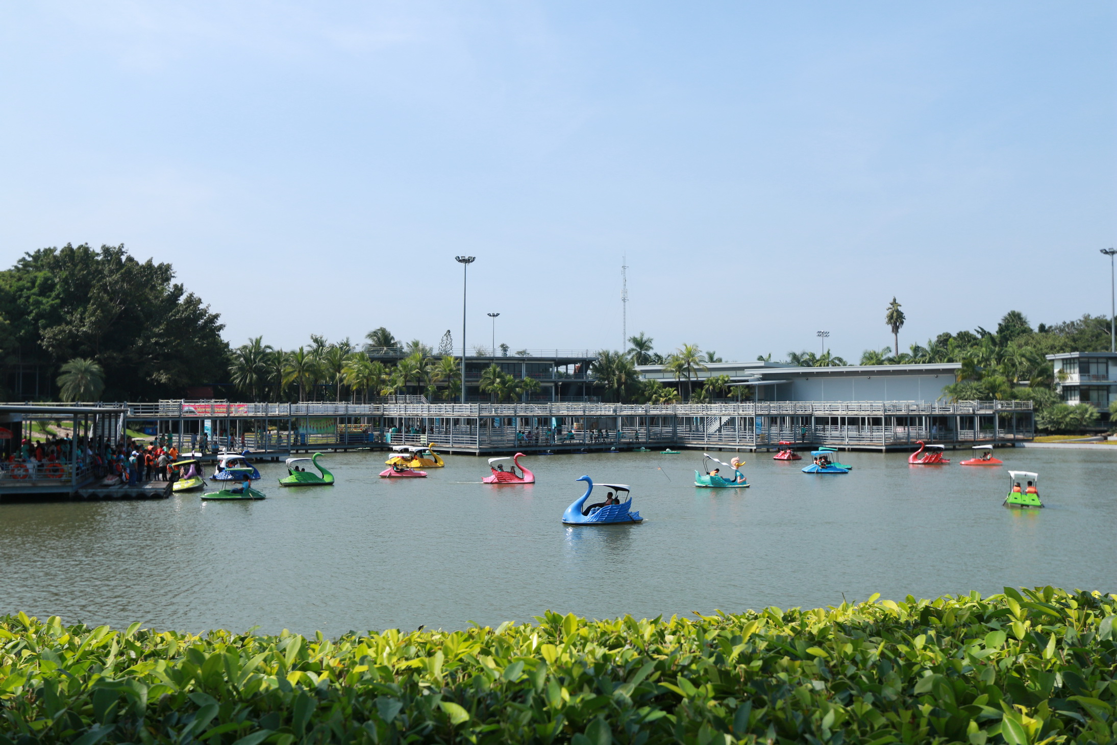 PADDLE BOATS