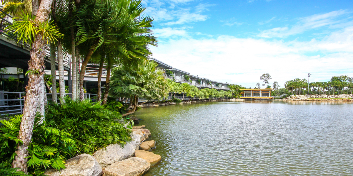 Accommodation